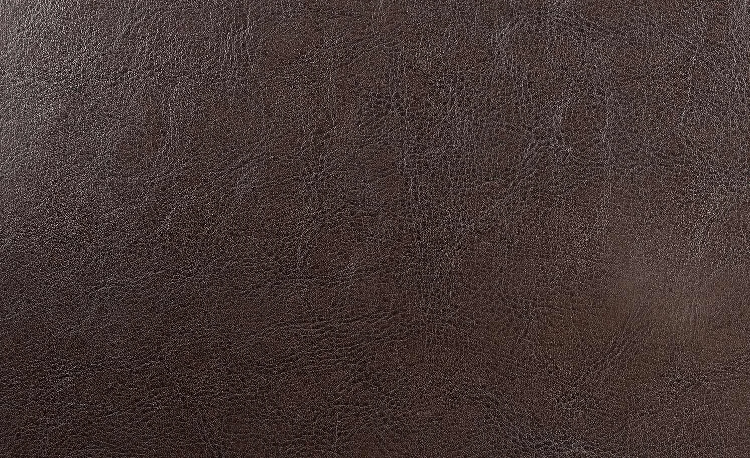 Polsterstuhl Gasparo | Dunkelbraun – Bild 3