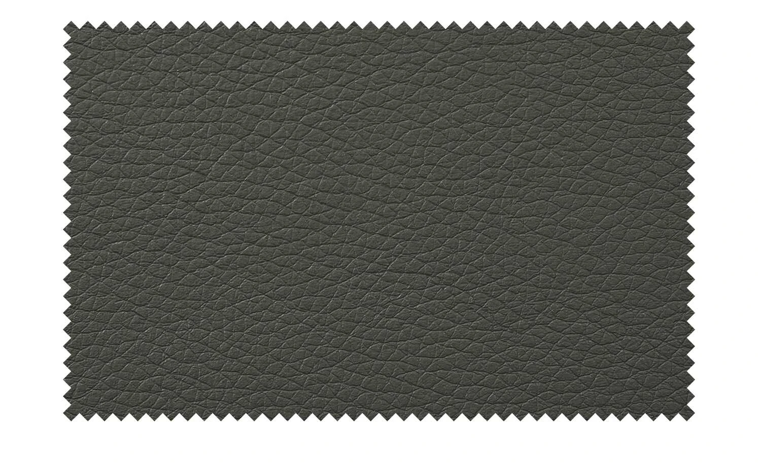 Wohnwert Freischwinger Paavo | Fango (Anthrazit) Nein – Bild 6