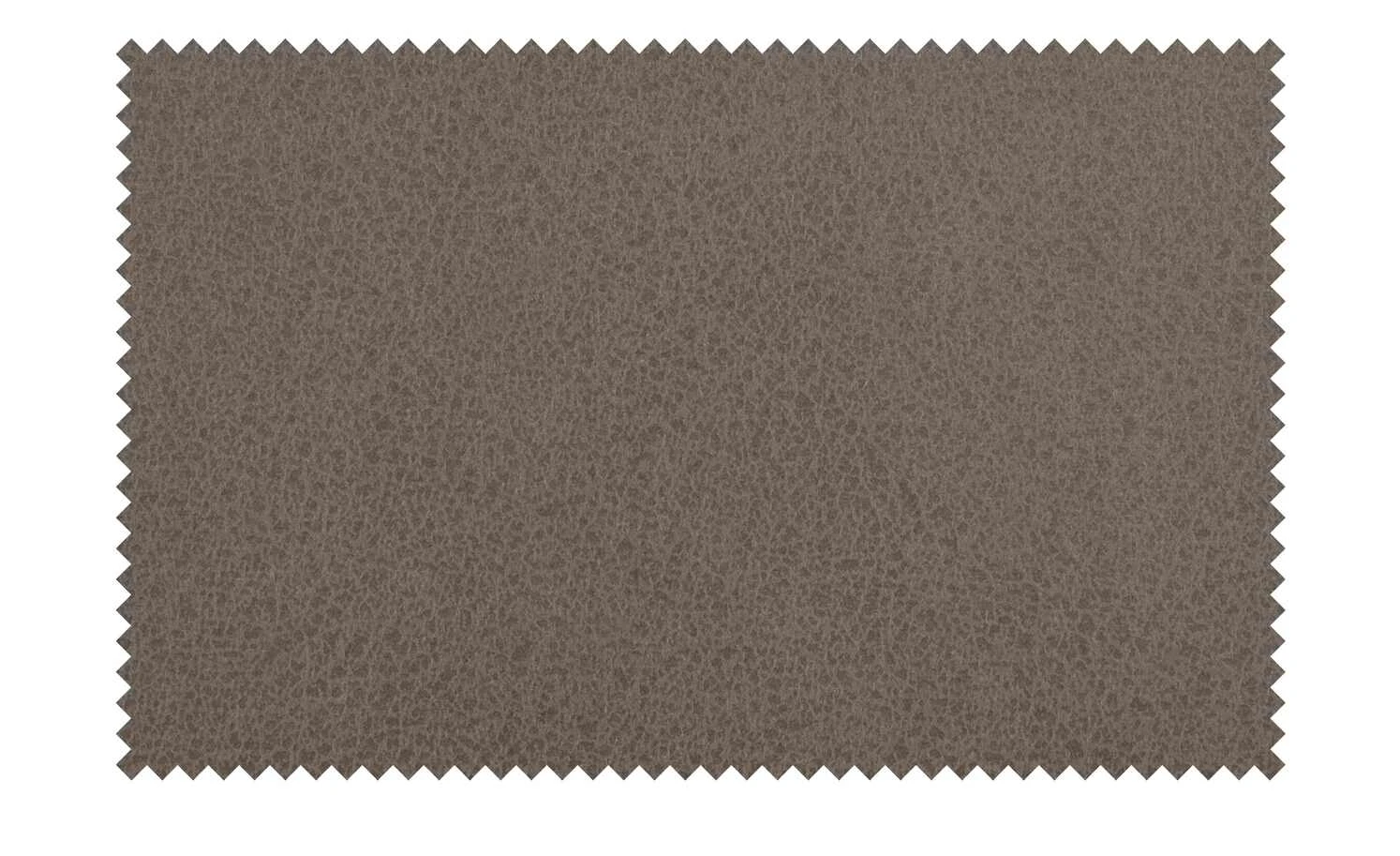 Wohnwert Polsterstuhl Alvar | Anthrazit – Bild 7