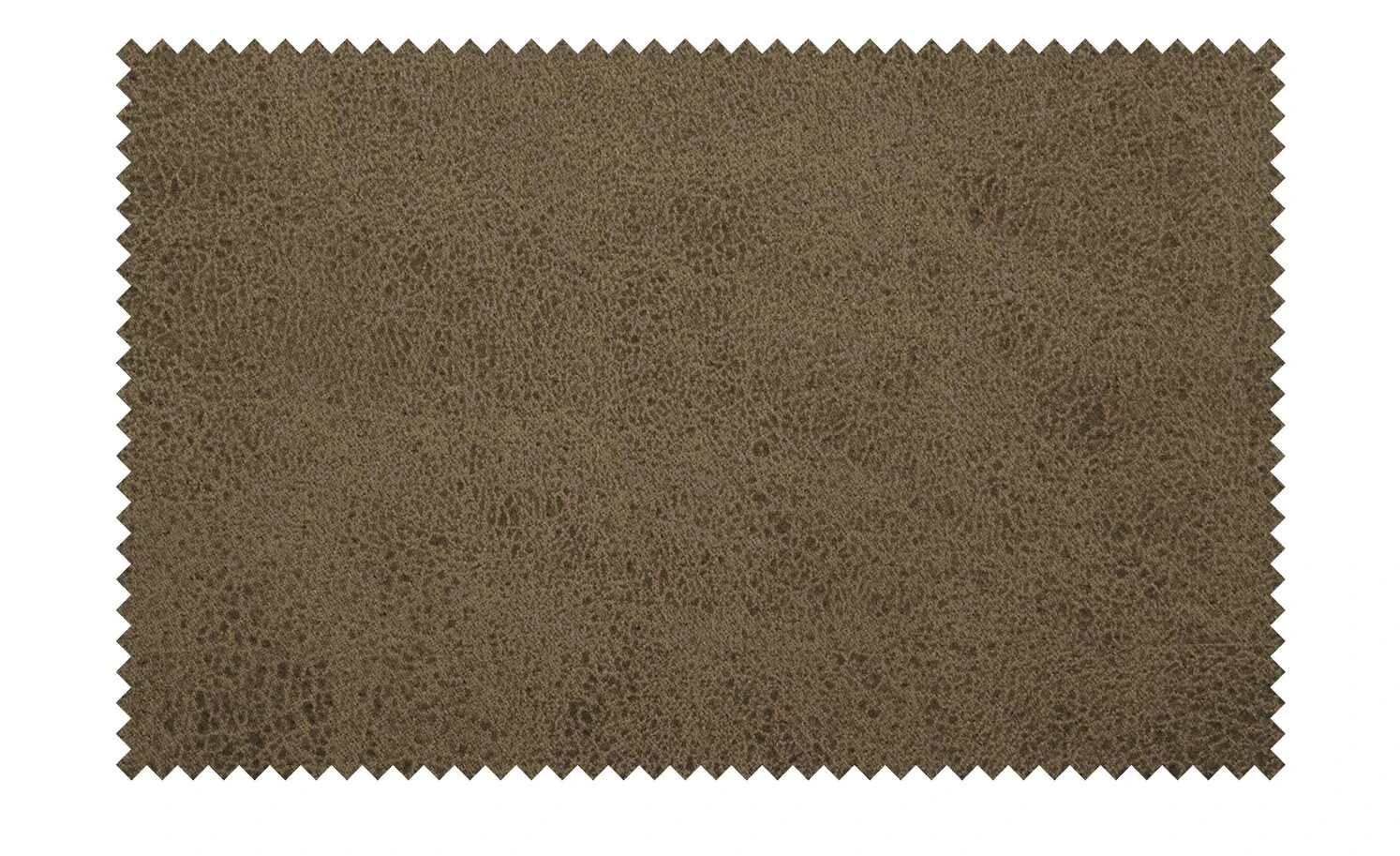 Wohnwert Polsterstuhl mit Armlehne Scandio | Steel (Hellgrau) / Dunkelbraun – Bild 8