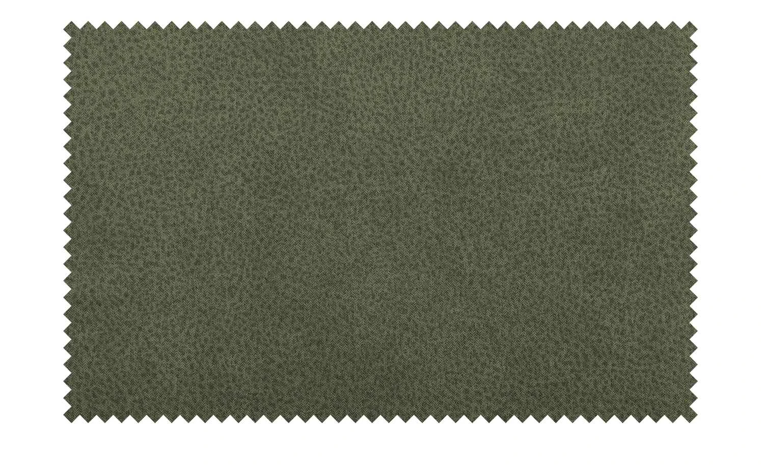 Woodford Polsterstuhl Scala | May Fly (Grün) Schwarz – Bild 8