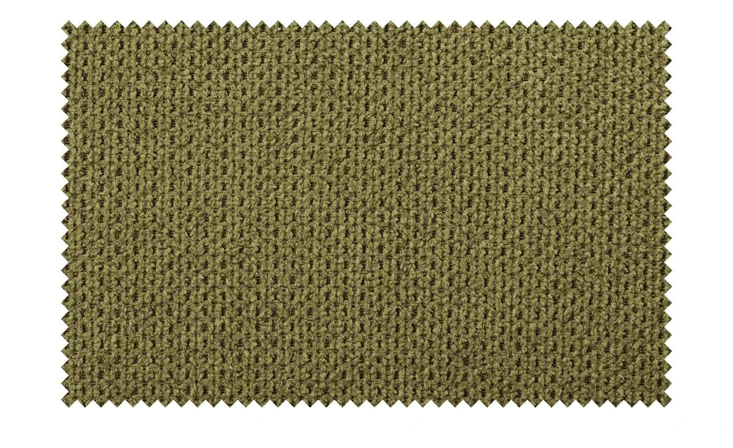 Wohnwert Armlehn-Polsterstuhl Aron | Grün – Bild 9