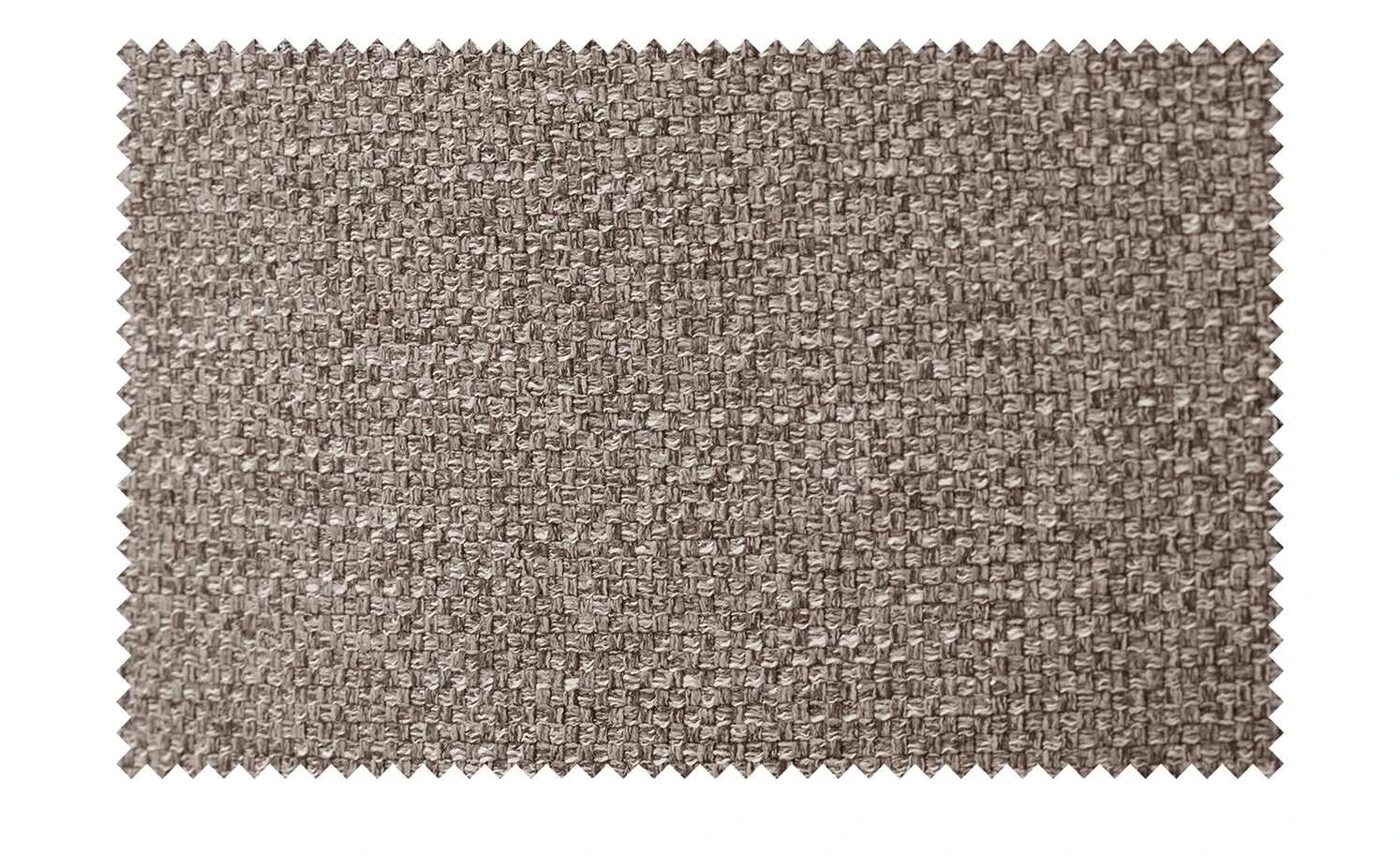 Wohnwert Freischwinger Paavo | Hellbraun – Bild 4