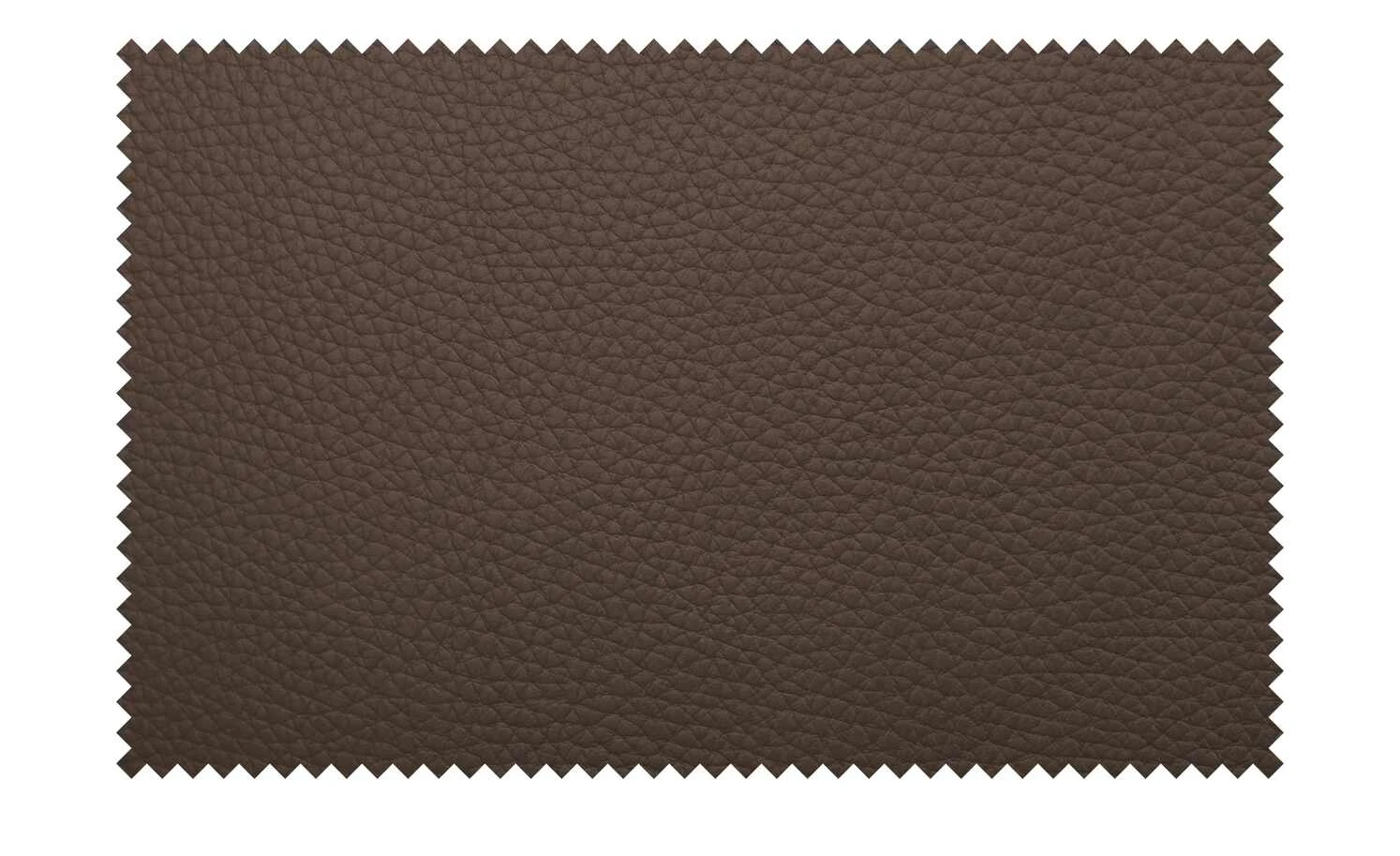 KOINOR Leder-Schwingstuhl Sqare | Bruna (Braun) – Bild 2