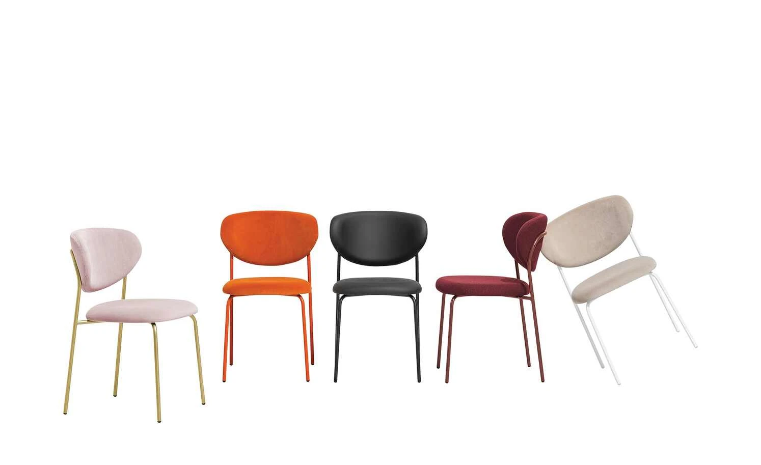 Connubia Polsterstuhl Cozy | Bordeaux / Rot Oxid (Bordeaux)