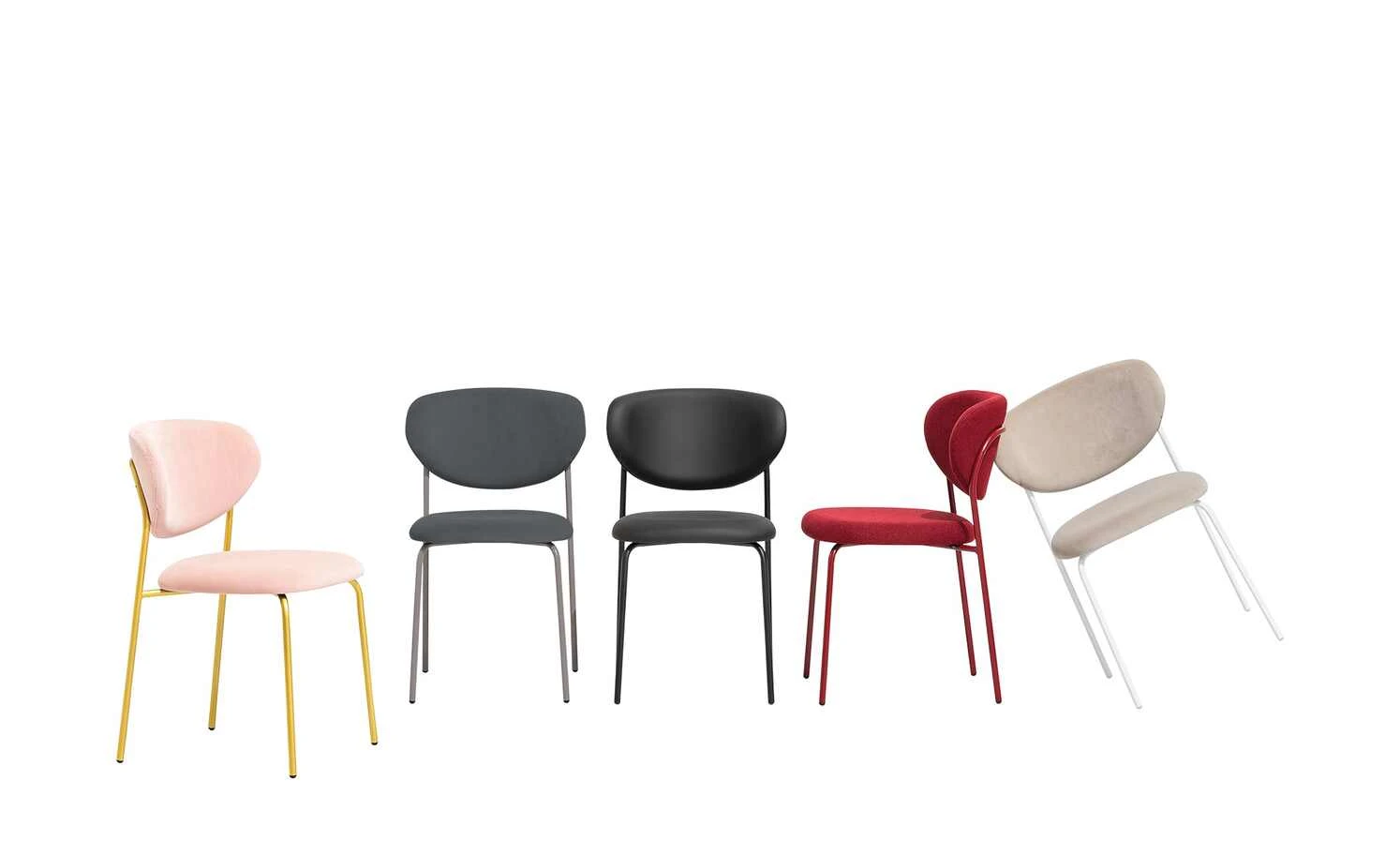 Connubia Polsterstuhl Cozy | Taubengrau / Grau