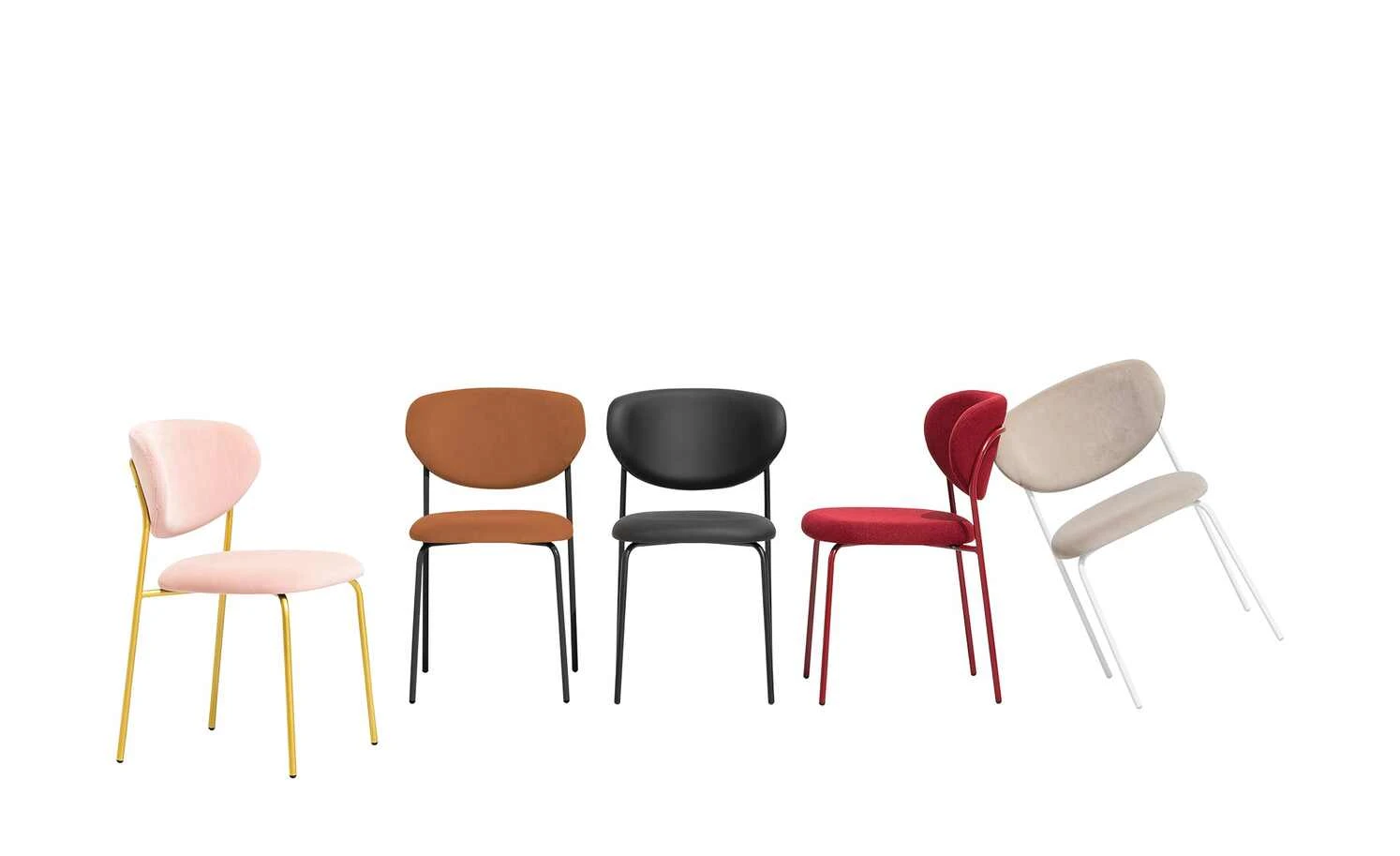 Connubia Polsterstuhl Cozy | Safran (Orange) / Schwarz