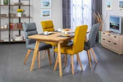 Esszimmerstuhl Skanderborg 2er Set | Grau