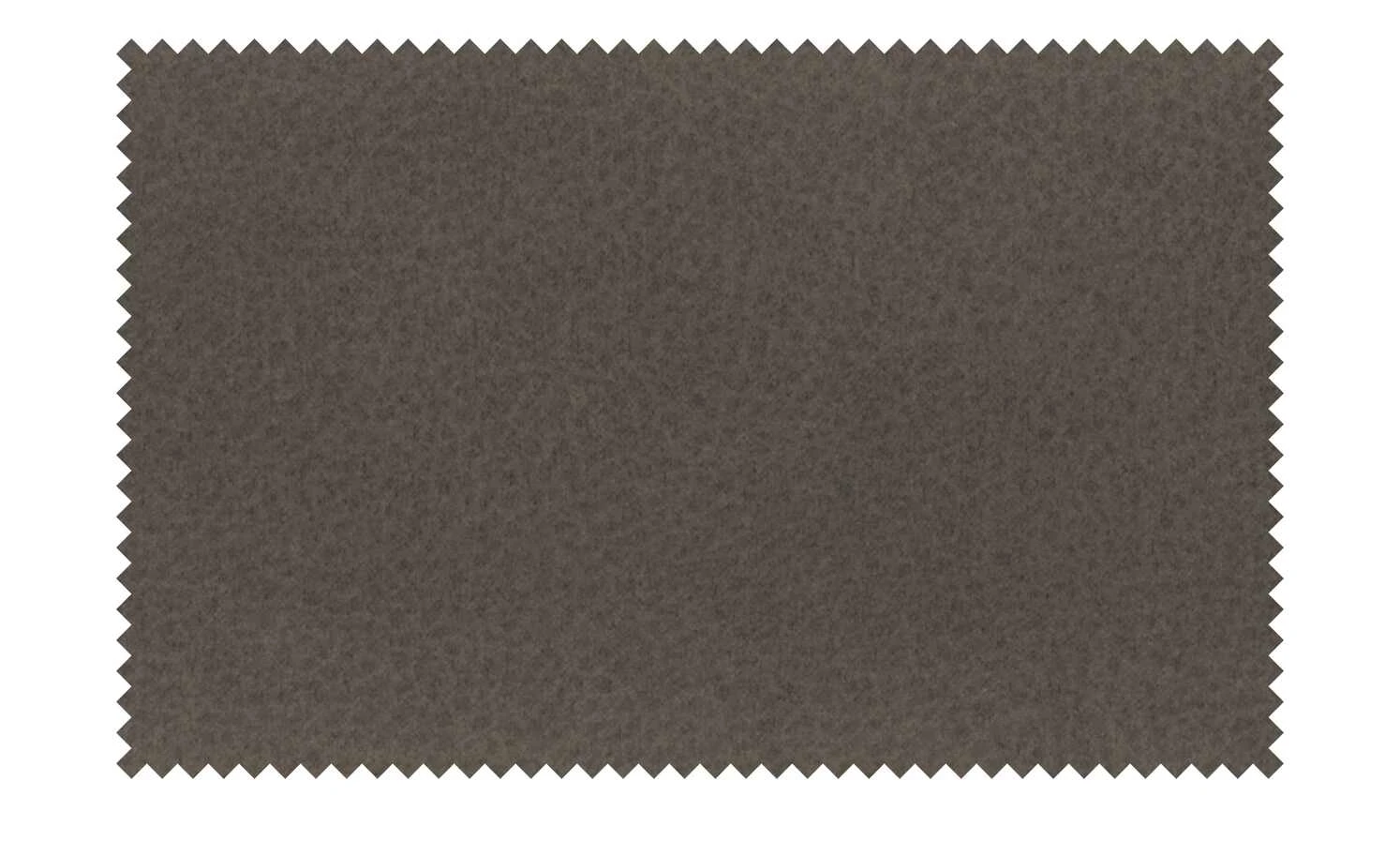 Dine + Mine Polsterstuhl Xalapa | Cappuccino (Braun) Akaziefarbig Nein – Bild 8