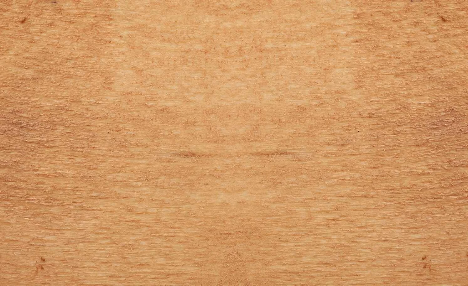 Dine + Mine Polsterstuhl Xalapa | Lichtgrau Akaziefarbig Nein – Bild 8