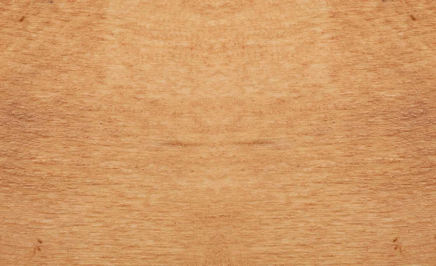 Dine + Mine Polsterstuhl Nador | Cappuccino (Braun) Akazie (Nachbildung) Ja – Bild 3